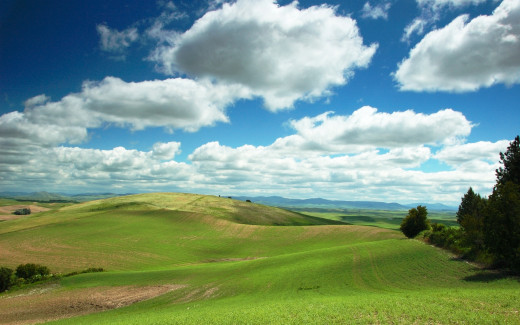 458667 (a): :1920x1200